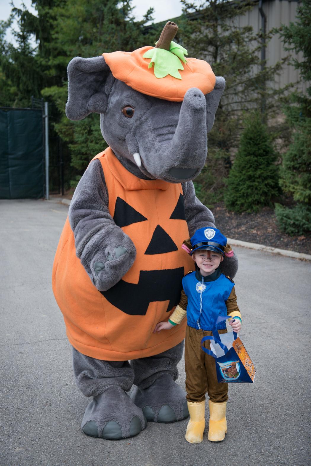 Boo at the Zoo Columbus Zoo and Aquarium